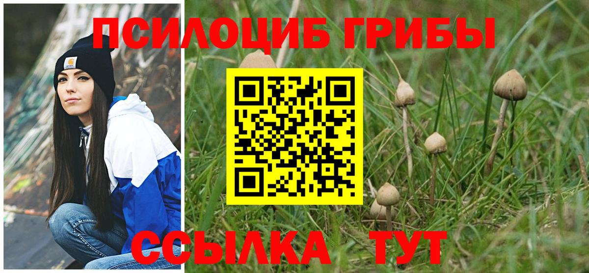 Галлюциногенные грибы Psilocybine cubensis  Вход с VPN  Коломна 