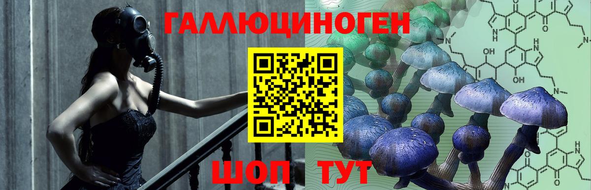 Галлюциногенные грибы прущие грибы Коломна